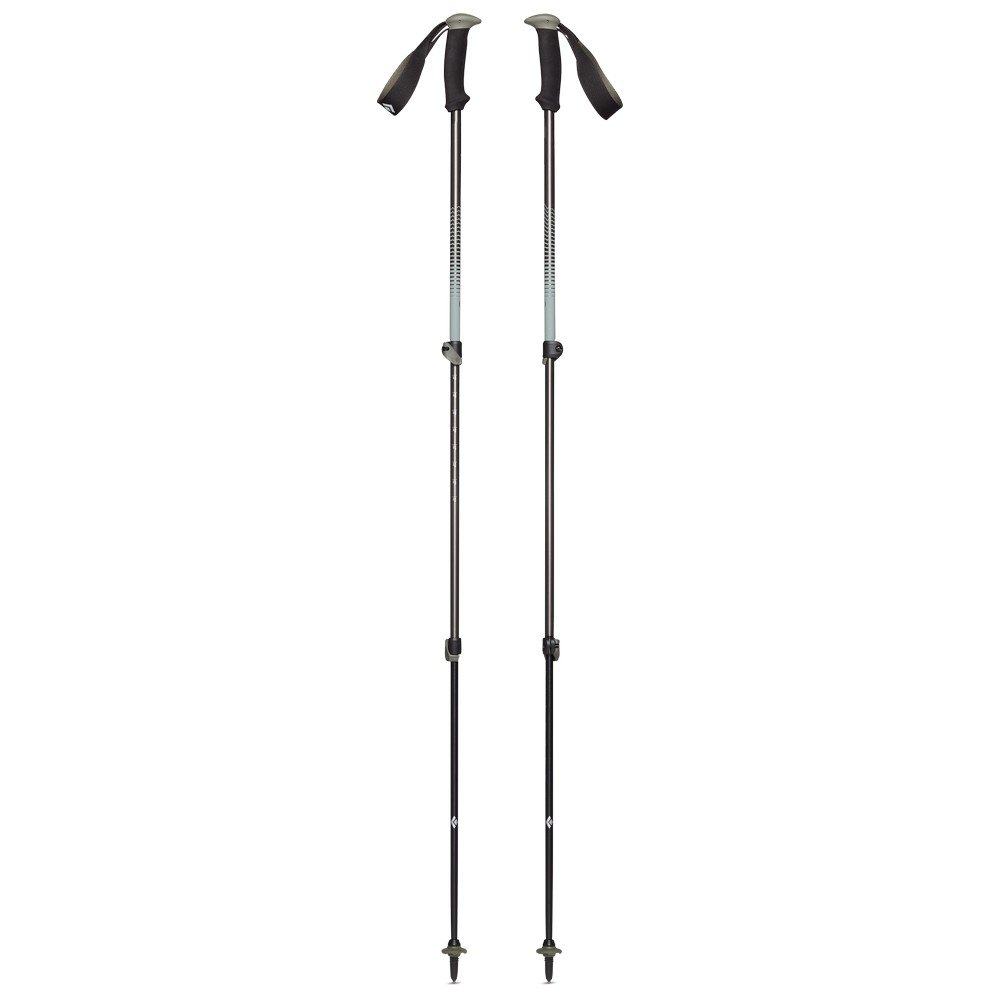 Купить Black diamond BD1125483010ALL1 Trail Back Поляки Серебристый Tundra 100-140 cm 7ft.ru в интернет магазине Семь Футов