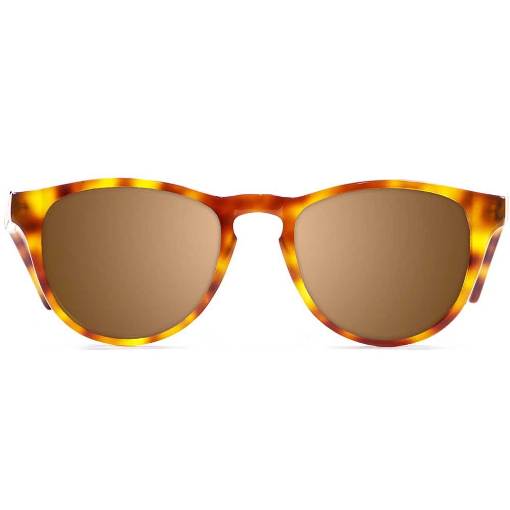 Купить Ocean sunglasses 12100.3 поляризованные солнцезащитные очки America Demy Brown Light Brown/CAT3 7ft.ru в интернет магазине Семь Футов