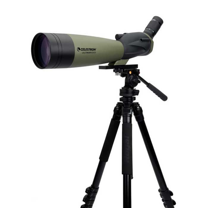 Купить Celestron C52252 Spotting Scope Ultima 100 45º Телескоп  Black 7ft.ru в интернет магазине Семь Футов