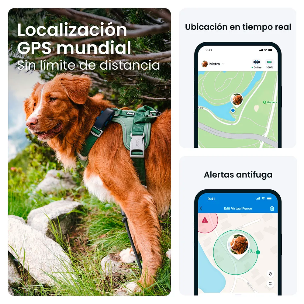 Купить Tractive TRDOG6BR GPS-локатор Коричневый  Beige 7ft.ru в интернет магазине Семь Футов