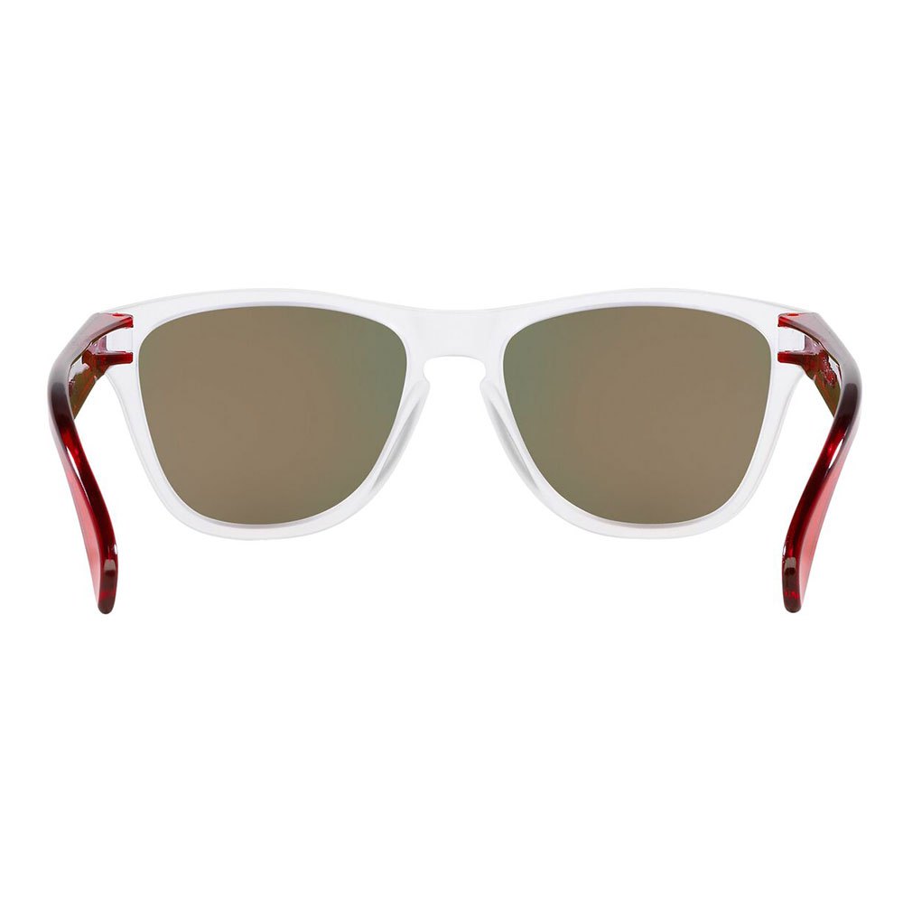 Купить Oakley OJ9009-0848 Frogskins XXS Prizm Молодежные солнцезащитные очки Matte Clear Prizm Ruby/CAT3 7ft.ru в интернет магазине Семь Футов