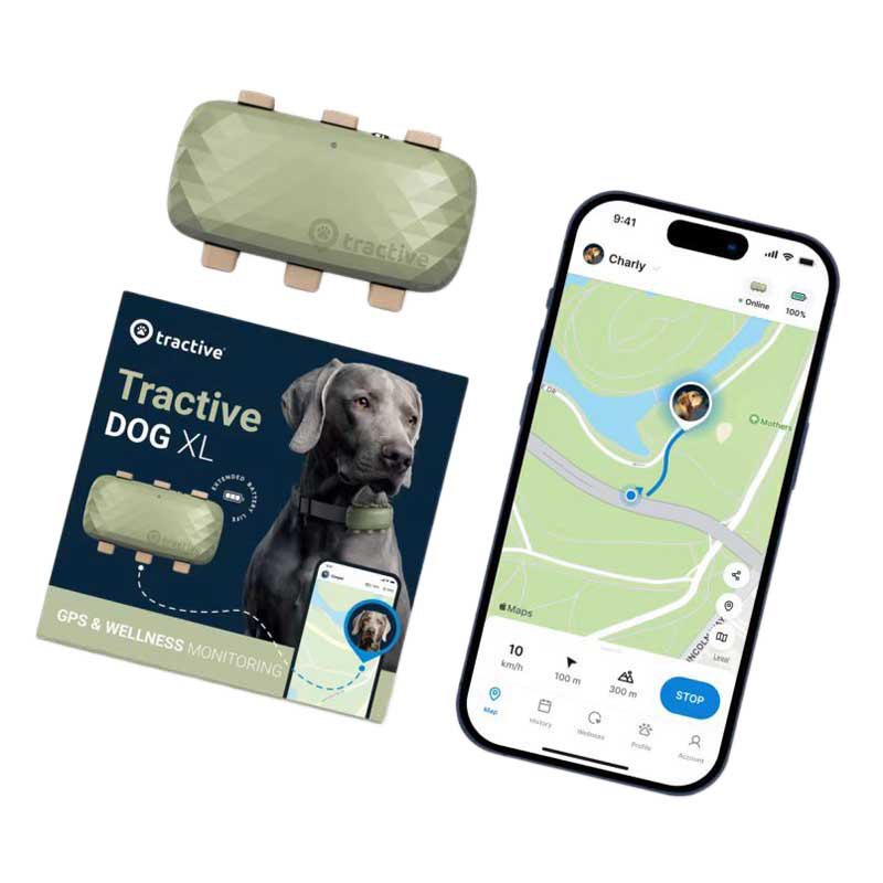 Купить Tractive TRDOG4XLGR Dog XL GPS-локатор Золотистый Green 7ft.ru в интернет магазине Семь Футов