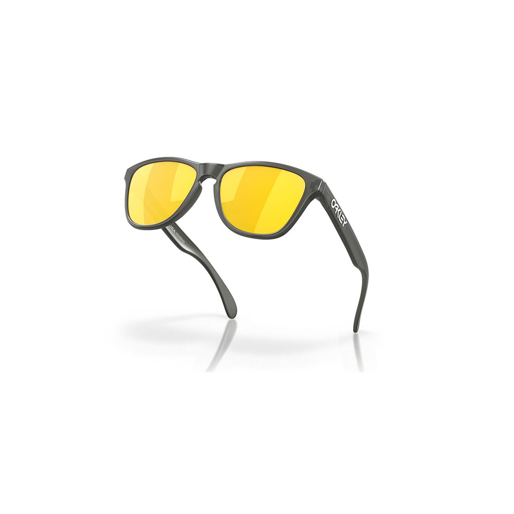 Купить Oakley OJ9006-3753 Frogskins XS Prizm Молодежные поляризованные солнцезащитные очки Matte Grey Smoke Prizm 24K Polar/CAT3 7ft.ru в интернет магазине Семь Футов