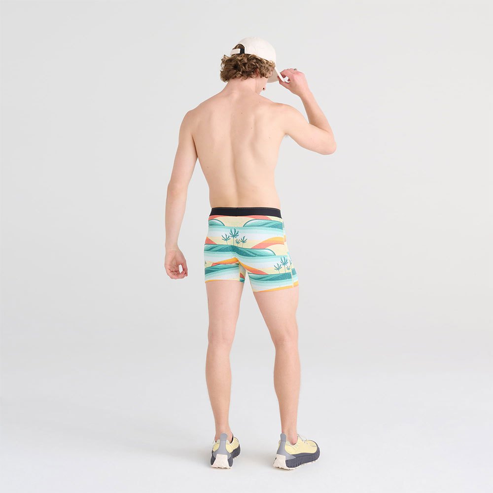 Купить SAXX Underwear SXBB70F.EAC.S Боксёр Quest Quick Dry Mesh Многоцветный Erik Abel / Coast S 7ft.ru в интернет магазине Семь Футов