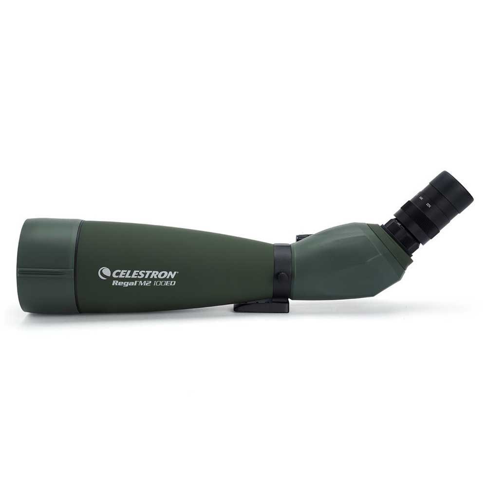 Купить Celestron C52306 Spotting Scope Regal M2 100ED 45º Телескоп  Black 7ft.ru в интернет магазине Семь Футов