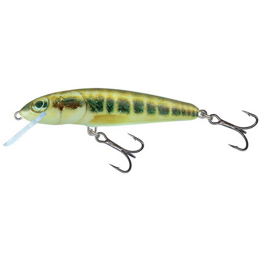 Купить Salmo QMW025 Minnow 70 Mm 6g Многоцветный  Hot Perch 7ft.ru в интернет магазине Семь Футов