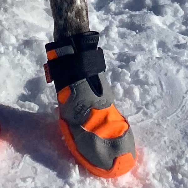 Купить I-dog KPADNPOLARO64 Khan Pad N´Polar Shoes Оранжевый  Orange 64 mm 7ft.ru в интернет магазине Семь Футов