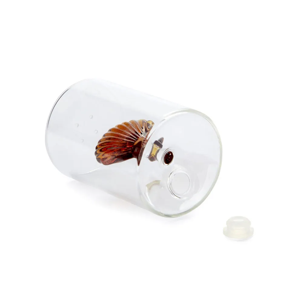 Купить Balvi 27854 солонка Atlantis Shell Amber 10x7x9 7ft.ru в интернет магазине Семь Футов