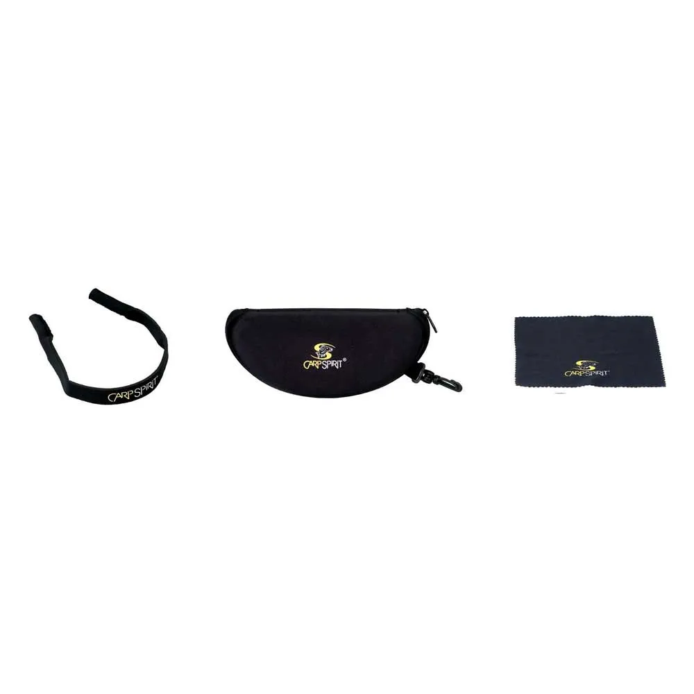 Купить Carp spirit ACS680101 поляризованные солнцезащитные очки Logo Black 7ft.ru в интернет магазине Семь Футов