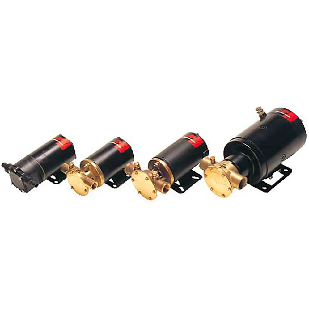 Купить Johnson pump 10-24516-02 Spxflow F3B-19 21L/min 24V Перекачивающий насос Золотистый Black / Bronze 170 x 100 x 82 mm 7ft.ru в интернет магазине Семь Футов