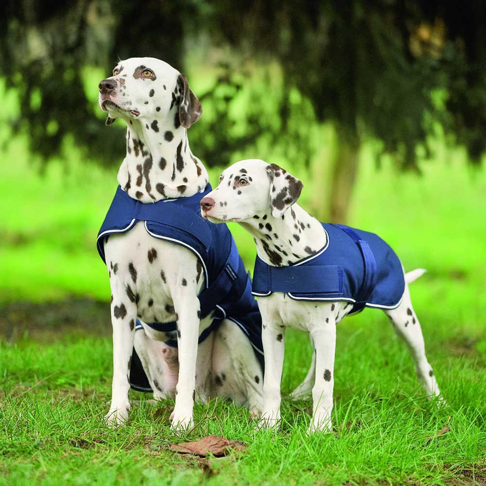 Купить Waldhausen 80020005-65 Rain Куртка для собак Голубой Navy 65 cm Hunt 7ft.ru в интернет магазине Семь Футов