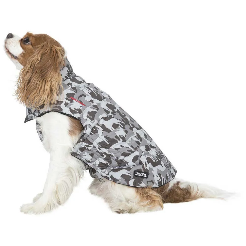 Купить Trespass UUACPTO10006-GDX-2XS куртка для собаки Charly Printed Rain Серый Grey Dog Camo X 2XS 7ft.ru в интернет магазине Семь Футов