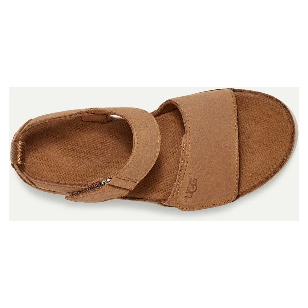 Купить Ugg kids 1136539k-che-4 Деревянные башмаки Goldenstar Chestnut 35x25x15 EU 36 7ft.ru в интернет магазине Семь Футов