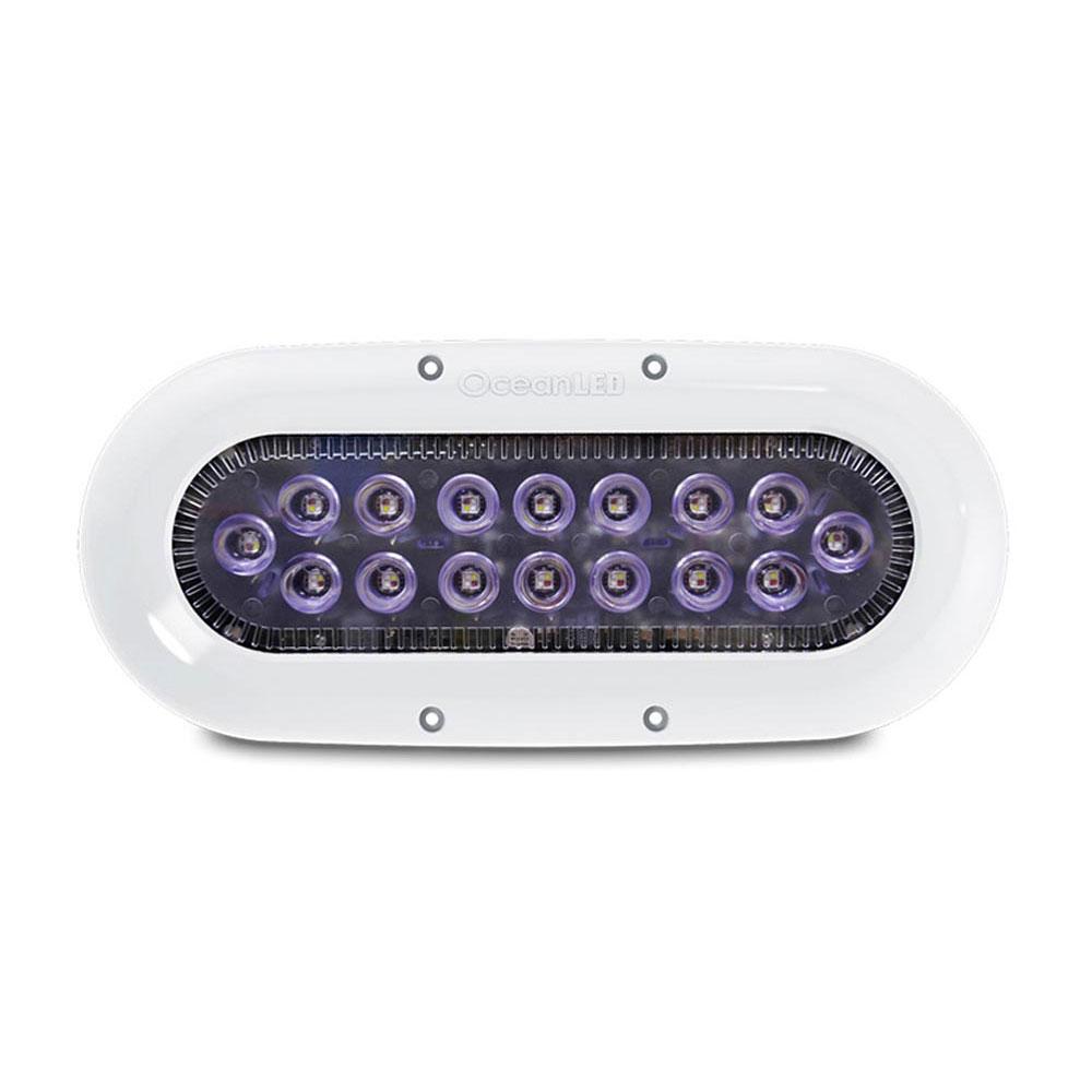 Купить Ocean led 812-012311C X16 Многоцветный  Multicolour 5800 Lumens 7ft.ru в интернет магазине Семь Футов