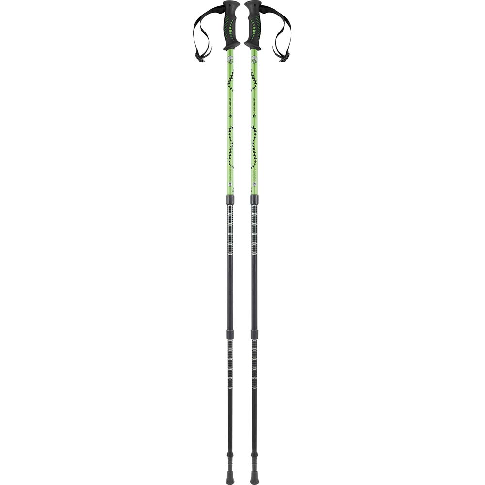 Купить Ferrino 78132EVV Totem Поляки Зеленый  Black / Green 65-135 cm 7ft.ru в интернет магазине Семь Футов