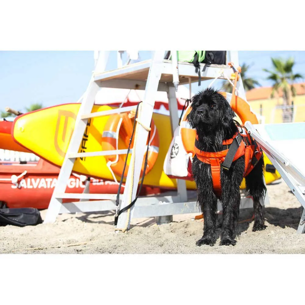 Купить Safe waterman hr100.022 Надувной комплект для падлбординга Patrol Rescue 11´0´´ Yellow / Red 90x55x23 335.3 cm 7ft.ru в интернет магазине Семь Футов