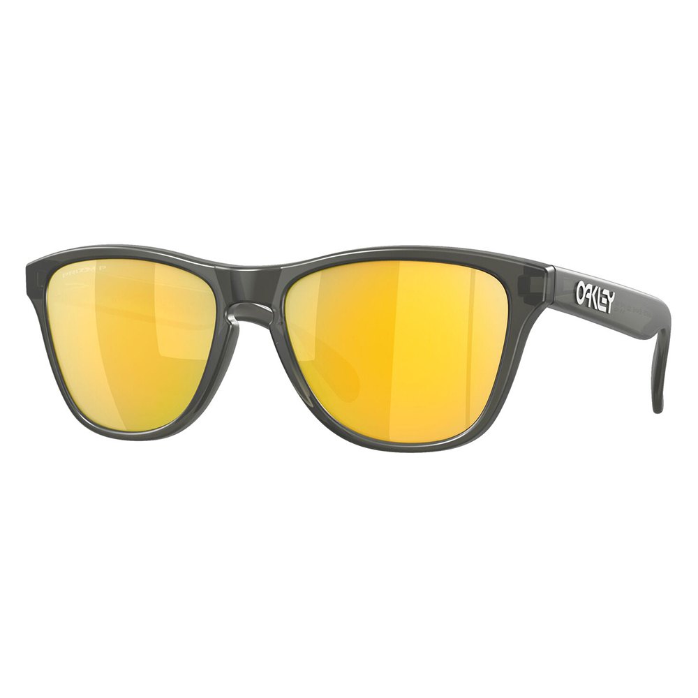 Купить Oakley OJ9006-3753 Frogskins XS Prizm Молодежные поляризованные солнцезащитные очки Matte Grey Smoke Prizm 24K Polar/CAT3 7ft.ru в интернет магазине Семь Футов