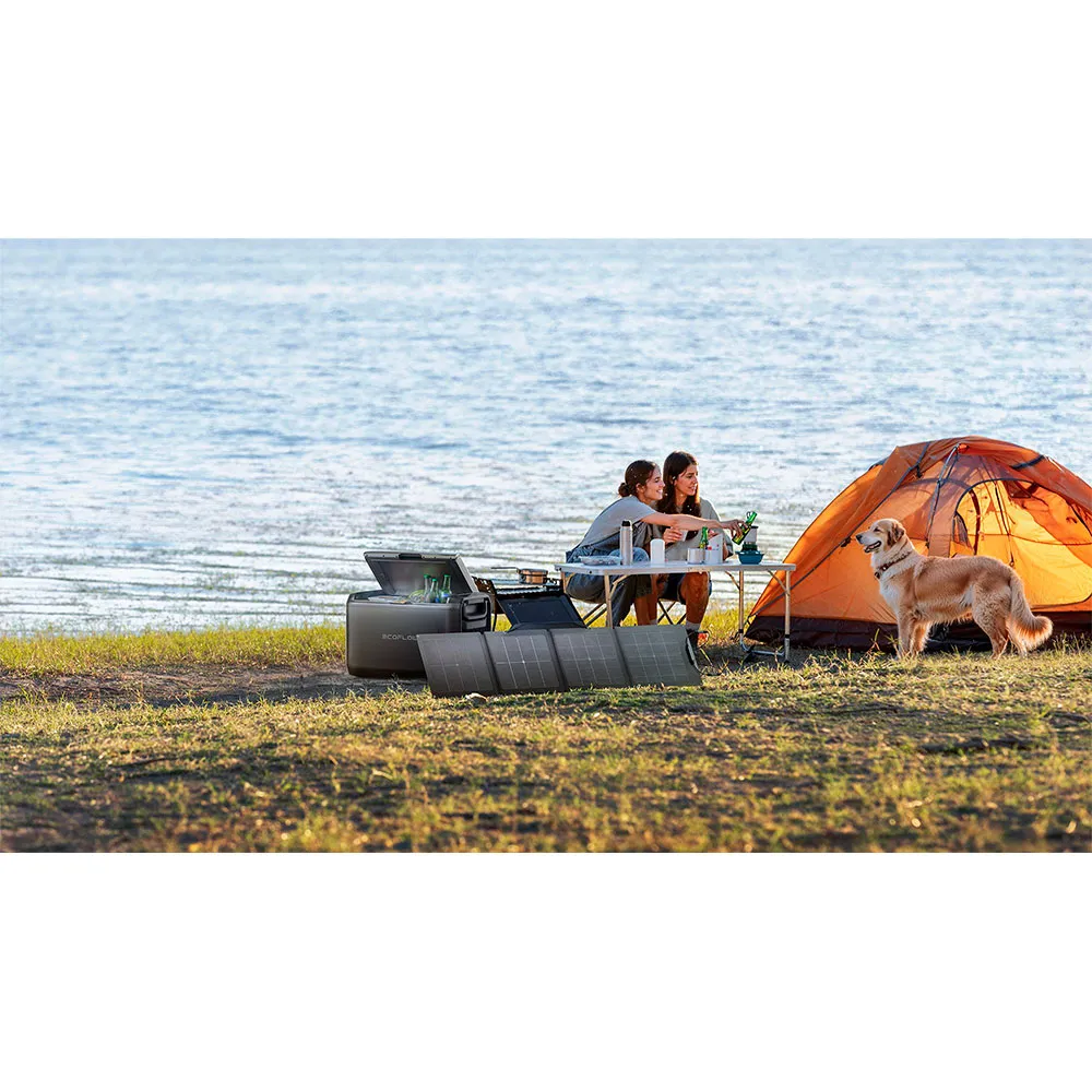 Купить Ecoflow ef-efglacier55l-eu-nbox Жесткий переносной кулер Glacier Classic 55L Grey 71x47x48 7ft.ru в интернет магазине Семь Футов