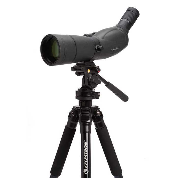 Купить Celestron C52330 Spotting Scope TrailSeeker 65 45º Телескоп  Black 7ft.ru в интернет магазине Семь Футов