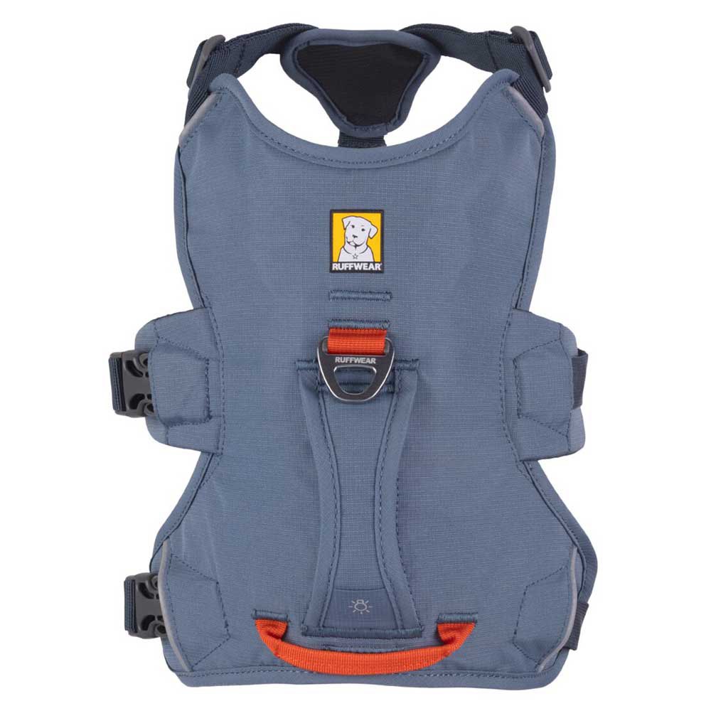 Купить Ruffwear 30103-413LL1 Web Master Обуздать Голубой  Slate Blue L-XL 7ft.ru в интернет магазине Семь Футов