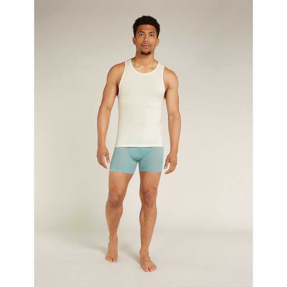 Купить Icebreaker 103034000L Безрукавная базовая футболка Merino 150 Anatomica Undyed L 7ft.ru в интернет магазине Семь Футов