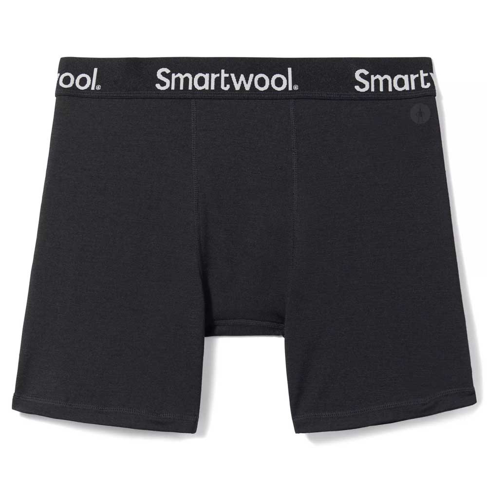 Купить Smartwool SW0169960011.M Боксёр Brief Черный  Black M 7ft.ru в интернет магазине Семь Футов