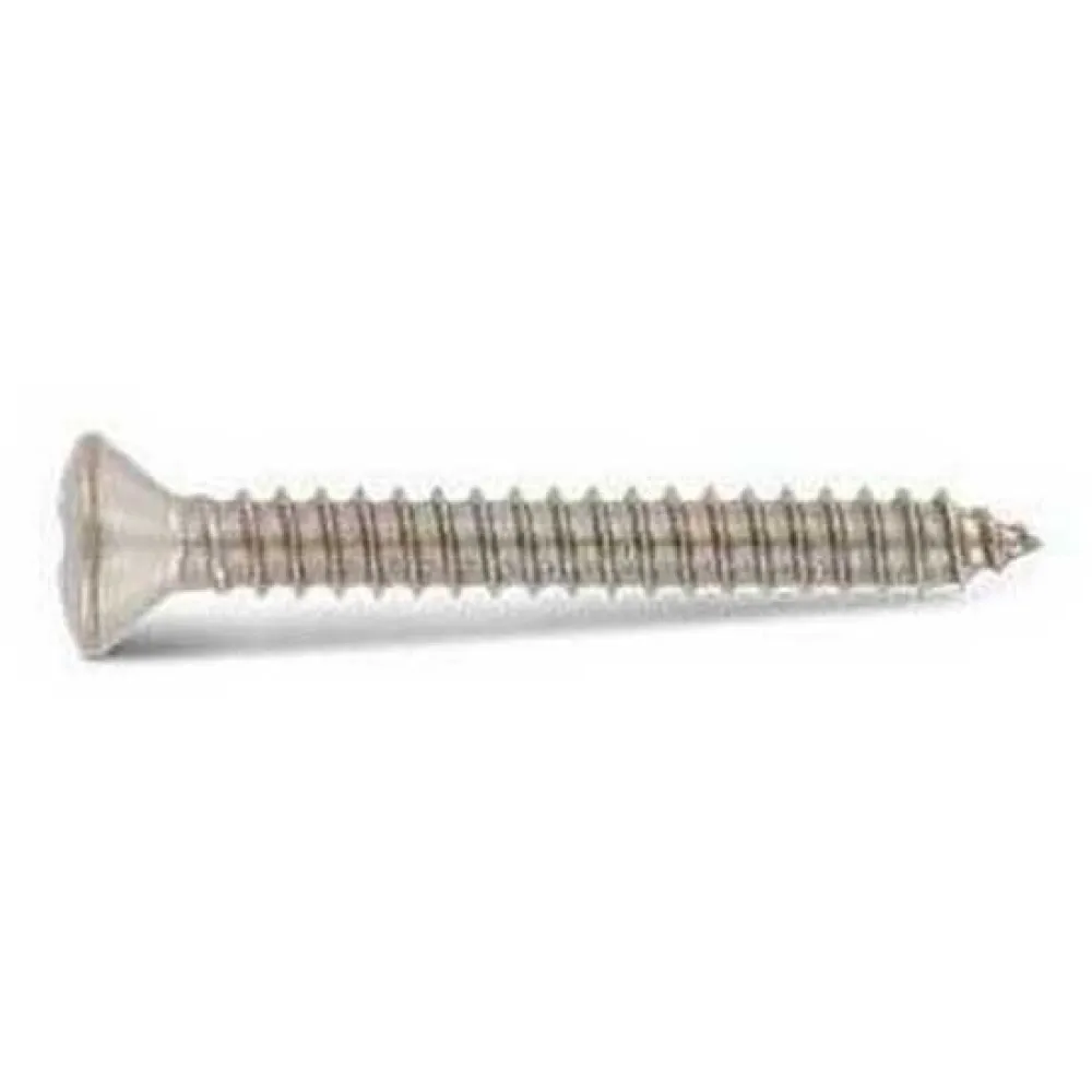 Купить Euromarine VIXVTFB4825-25 A4 DIN 7983 4.8x25 mm Винт с крестообразным шлицем 25 единицы Silver 7ft.ru в интернет магазине Семь Футов