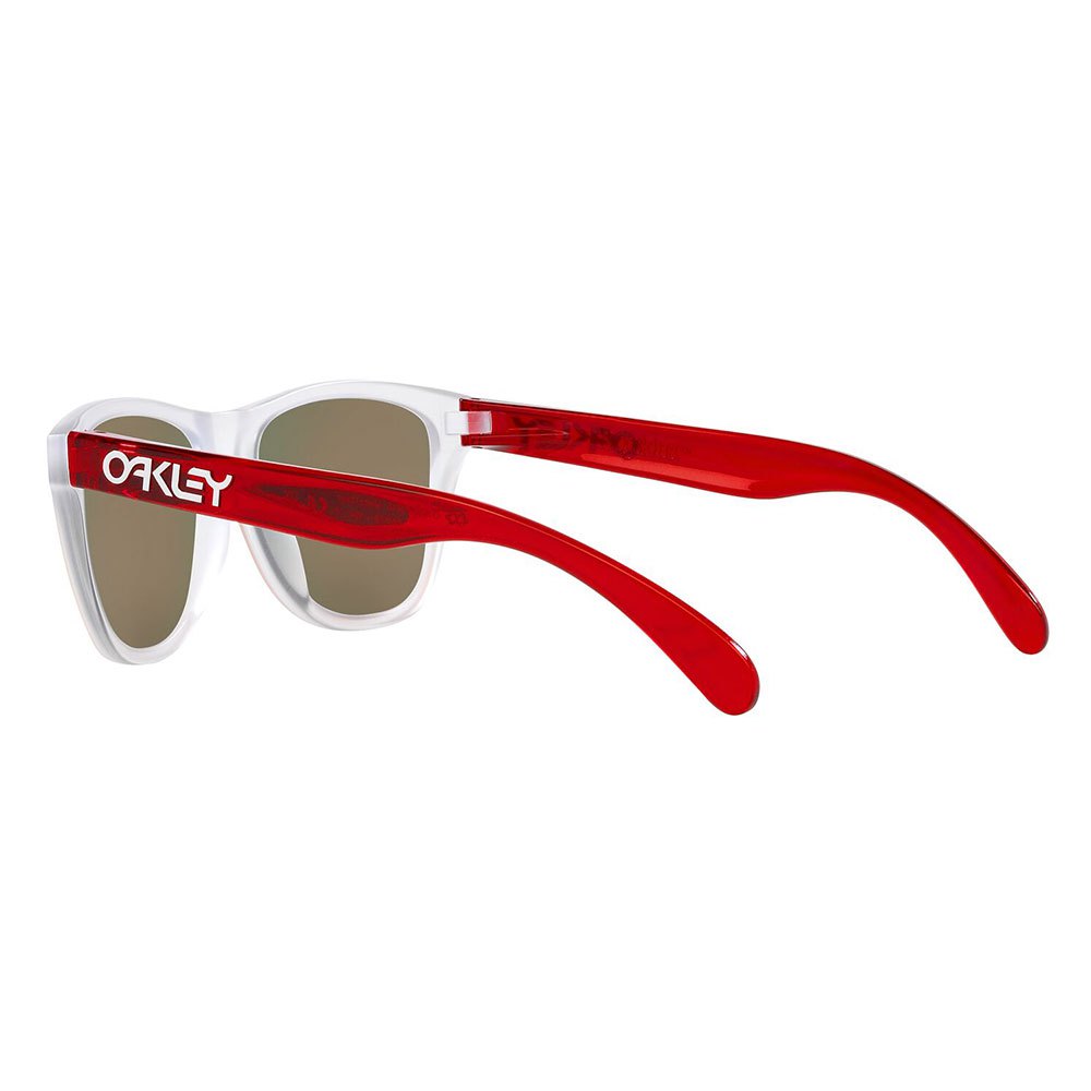 Купить Oakley OJ9009-0848 Frogskins XXS Prizm Молодежные солнцезащитные очки Matte Clear Prizm Ruby/CAT3 7ft.ru в интернет магазине Семь Футов