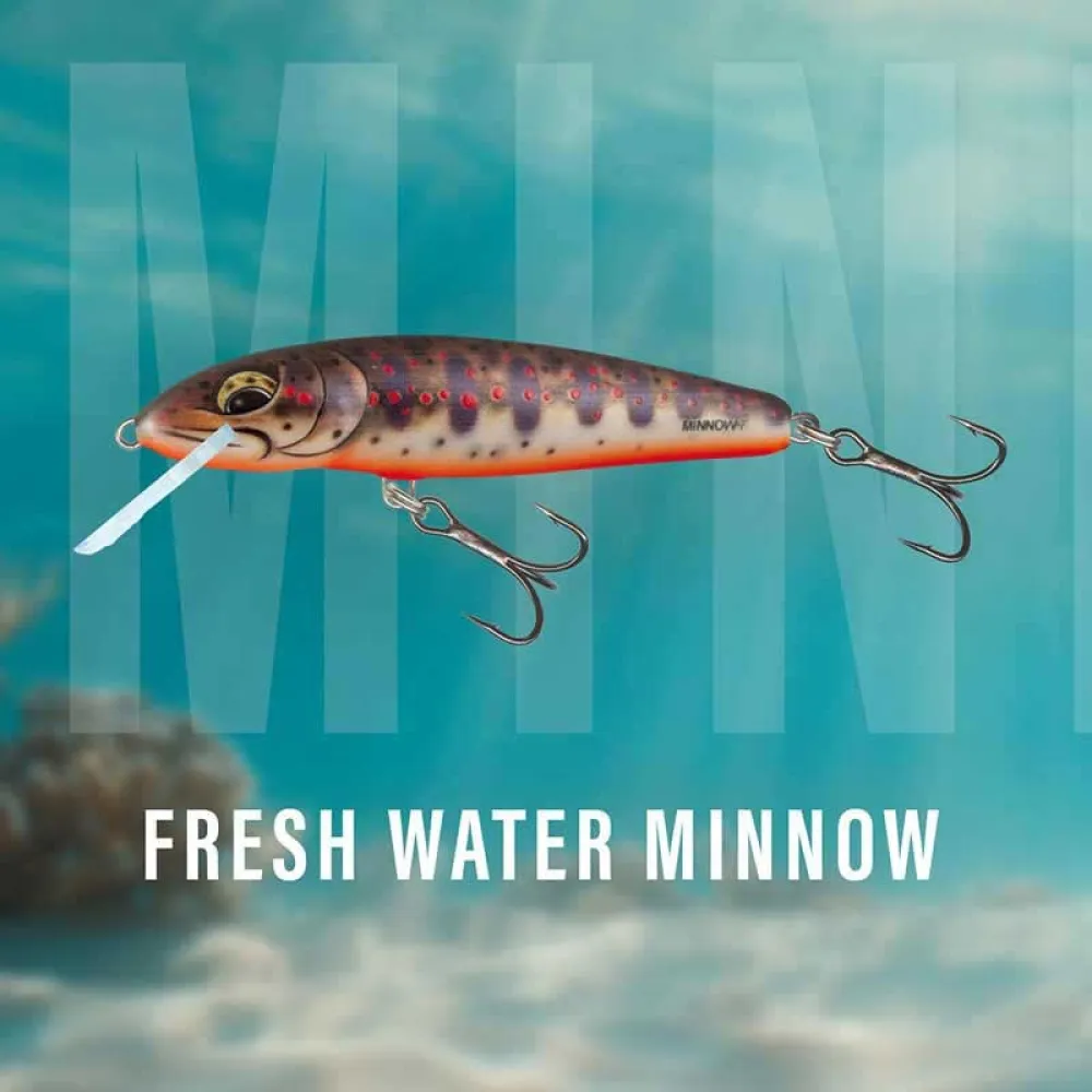 Купить Salmo qmw220-unit Minnow Floating 3g 50 mm Freshwater 10x7x5 7ft.ru в интернет магазине Семь Футов