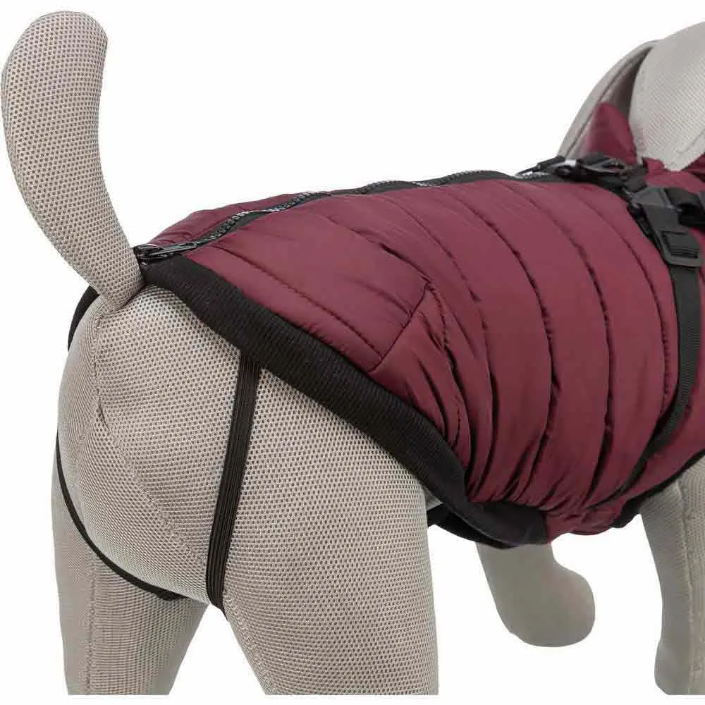 Купить Trixie 680393 куртка для собаки Pirou  Granate 33 cm 7ft.ru в интернет магазине Семь Футов