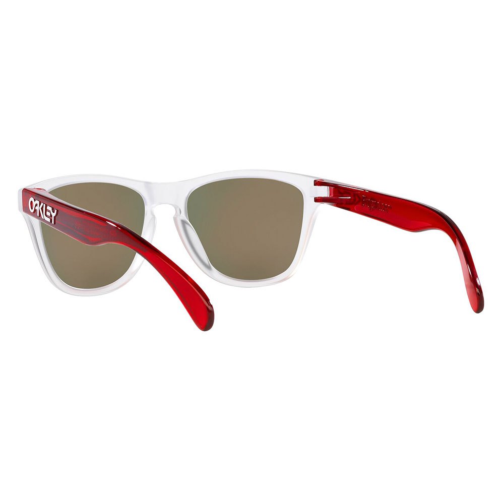 Купить Oakley OJ9009-0848 Frogskins XXS Prizm Молодежные солнцезащитные очки Matte Clear Prizm Ruby/CAT3 7ft.ru в интернет магазине Семь Футов