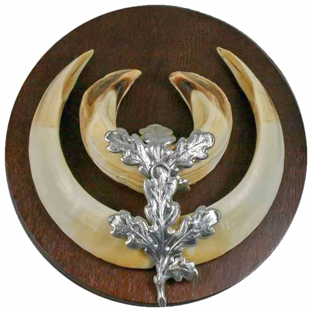 Купить Eurohunt 560787 Дубовые листья для клыков кабана 200 куски Silver  Hunt 7ft.ru в интернет магазине Семь Футов