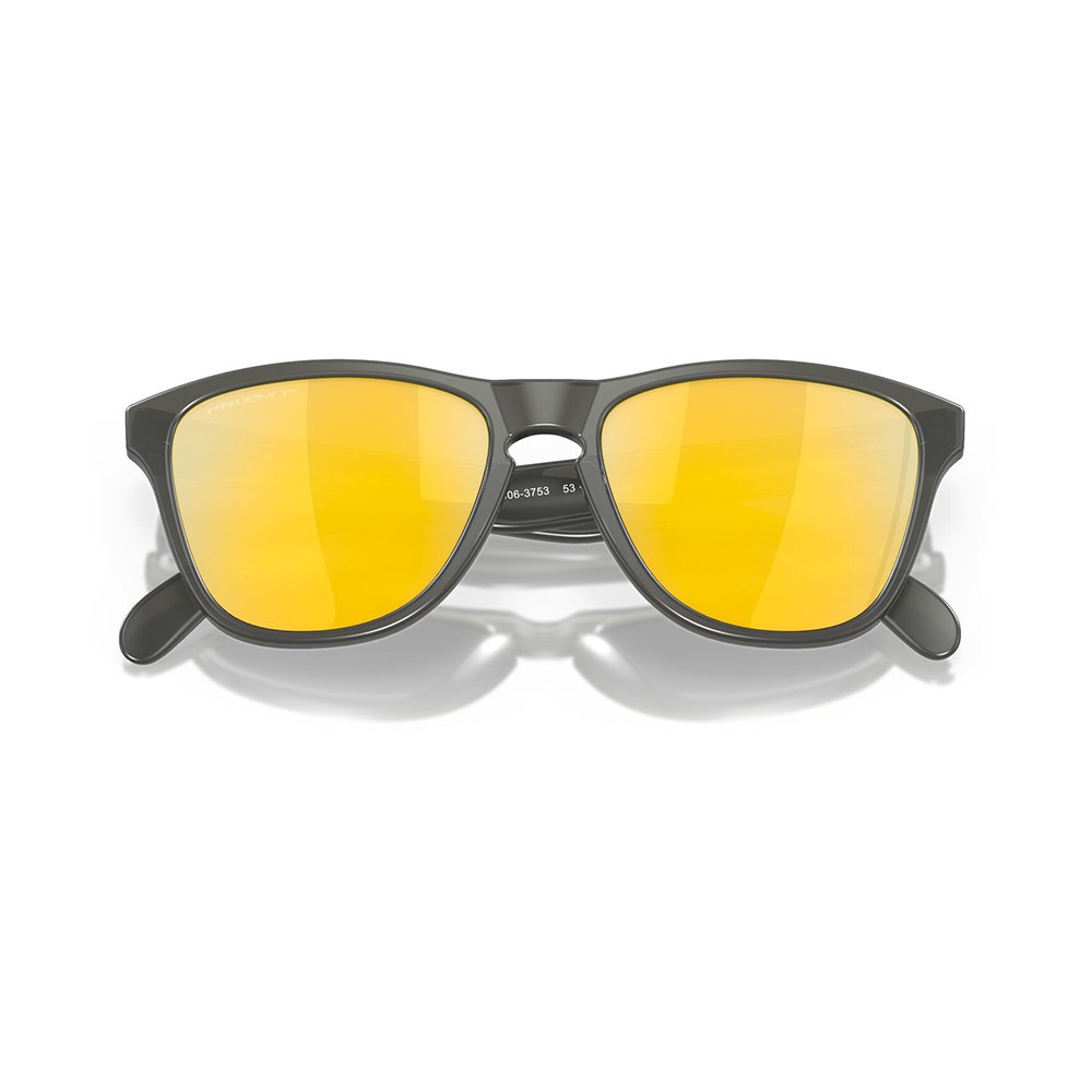 Купить Oakley OJ9006-3753 Frogskins XS Prizm Молодежные поляризованные солнцезащитные очки Matte Grey Smoke Prizm 24K Polar/CAT3 7ft.ru в интернет магазине Семь Футов