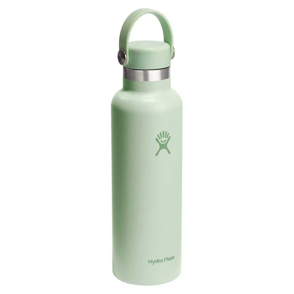 Купить Hydro flask S21CSX338 термос Standard Flex 620ml  Aloe 7ft.ru в интернет магазине Семь Футов
