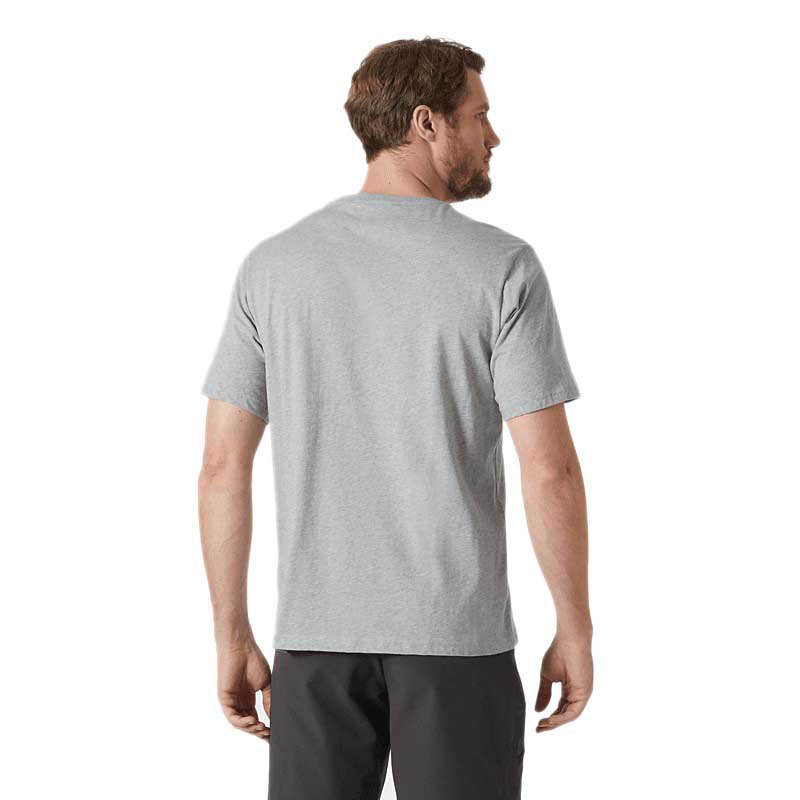 Купить Helly hansen 30396_949-S Футболка с коротким рукавом Logo 2.0 Grey Melange S 7ft.ru в интернет магазине Семь Футов