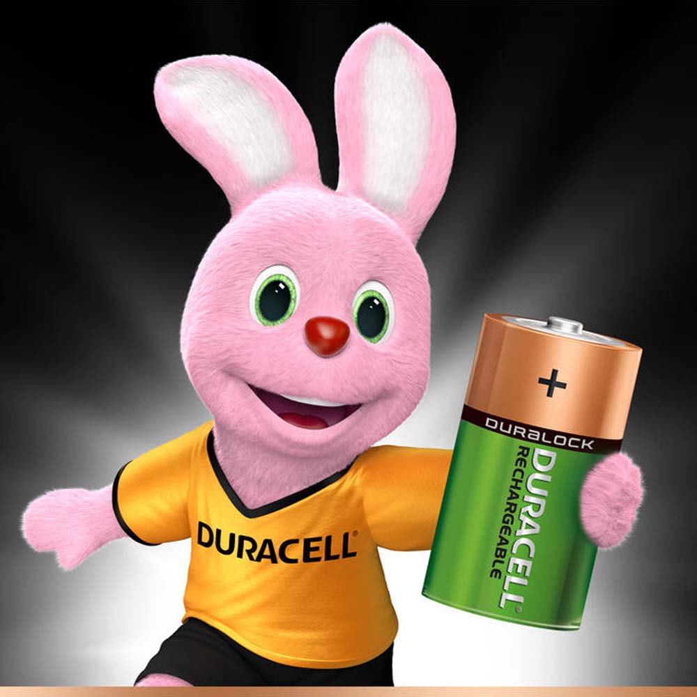 Купить Duracell 901449784 HR20 Щелочные батареи 2 единицы измерения Золотистый Green / Black 7ft.ru в интернет магазине Семь Футов