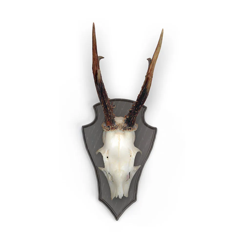 Купить Eurohunt V-560807-M Дубовая пластина для трофея оленя 2 с металлическими зажимами 5 Единицы Dark 22x13 cm Hunt 7ft.ru в интернет магазине Семь Футов