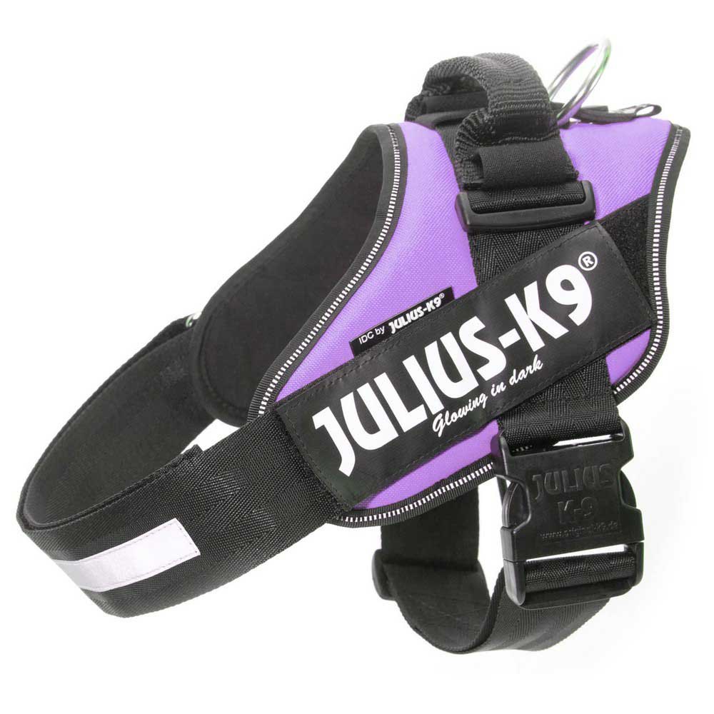 Купить Julius k-9 16IDC-PR-B2 IDC® Power Baby Обуздать Фиолетовый Purple Baby 2 7ft.ru в интернет магазине Семь Футов