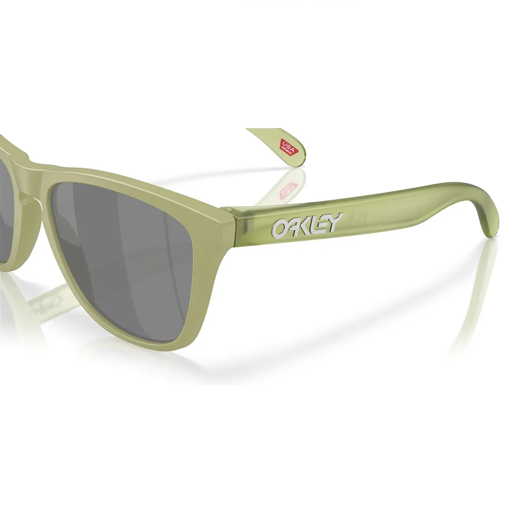 Купить Oakley OO9013-M255 поляризованные солнцезащитные очки Frogskins Matte Fern Prizm Black Polar/CAT3 7ft.ru в интернет магазине Семь Футов