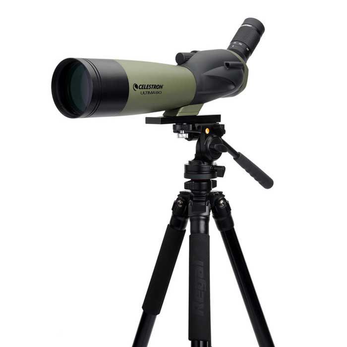 Купить Celestron C52250 Spotting Scope Ultima 80 45º Телескоп  Black 7ft.ru в интернет магазине Семь Футов