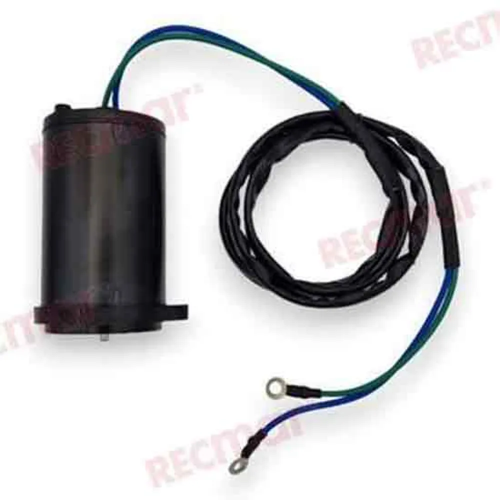 Купить Recmar rec62x-43880-09 трим-мотор Yamaha 62X-43880-09 Black 18x20x28 7ft.ru в интернет магазине Семь Футов