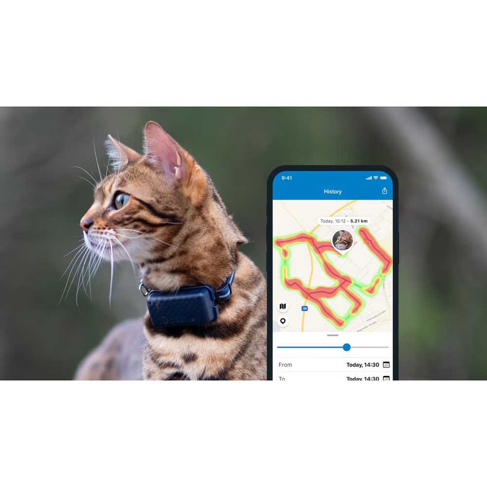 Купить Tractive TRCAT5DB Mini GPS-локатор Бесцветный  Blue 7ft.ru в интернет магазине Семь Футов