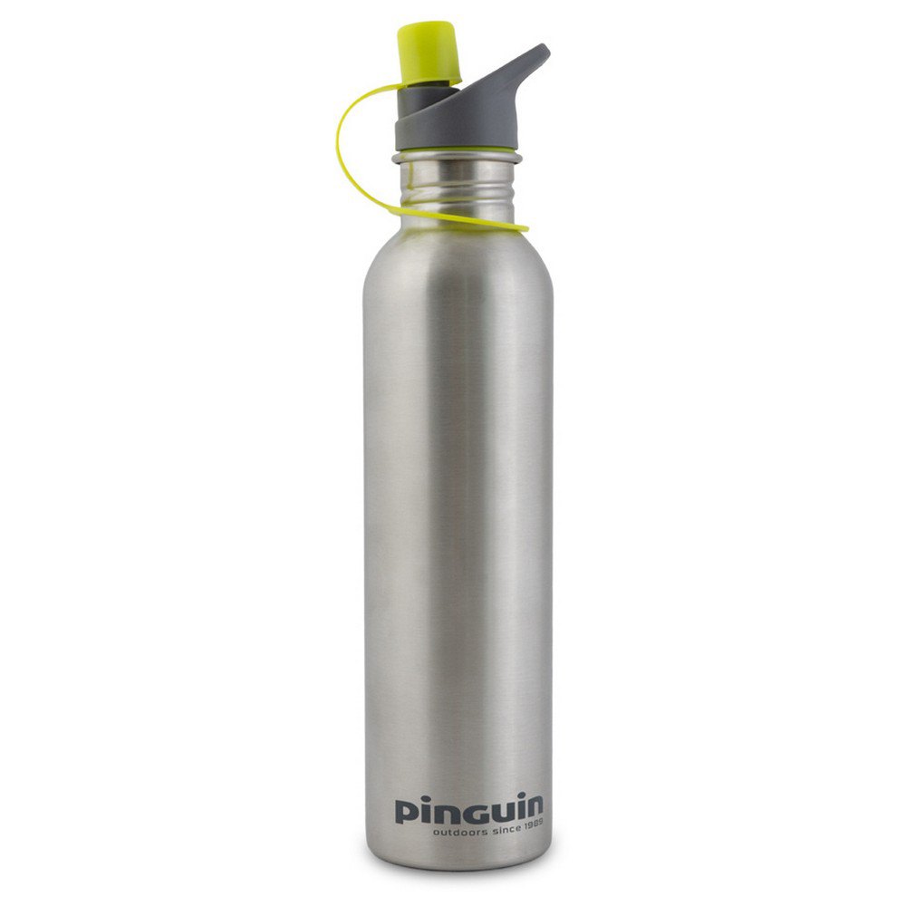 Купить Pinguin 807608 Bottle L 1.0L Термо Серебристый  Multicolor 7ft.ru в интернет магазине Семь Футов