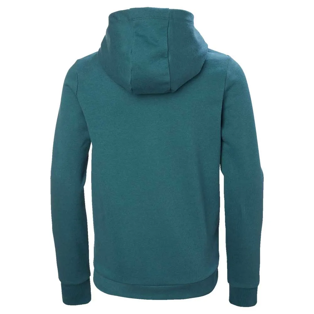Купить Helly hansen 41677_453-10 Толстовка с капюшоном Logo Dark Creek 40x30x15 9-10 Years 7ft.ru в интернет магазине Семь Футов