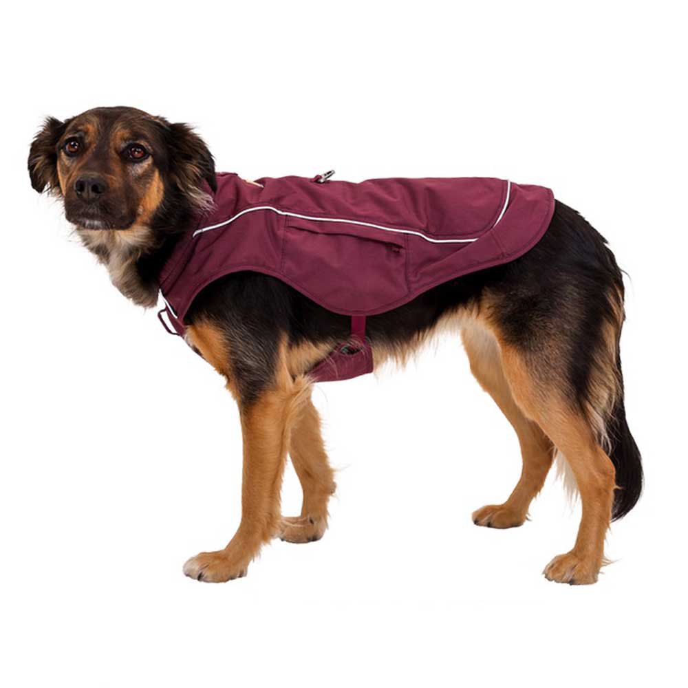 Купить Ruffwear 05151-507M Overcoat Fuse Куртка для собак Фиолетовый Purple Rain M 7ft.ru в интернет магазине Семь Футов