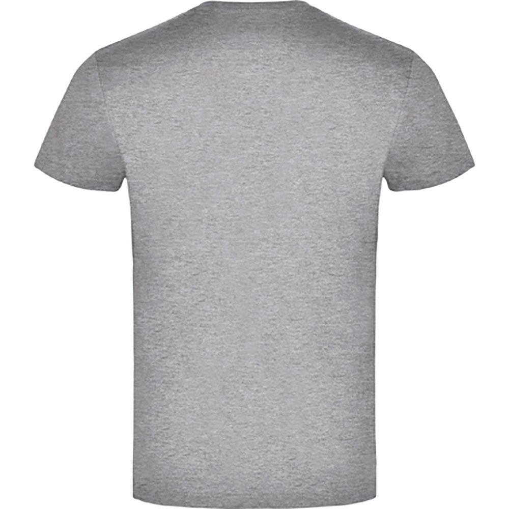 Купить Kruskis CA65500558S286 Футболка с коротким рукавом Word Fishing Серый Heather Grey 2XL 7ft.ru в интернет магазине Семь Футов