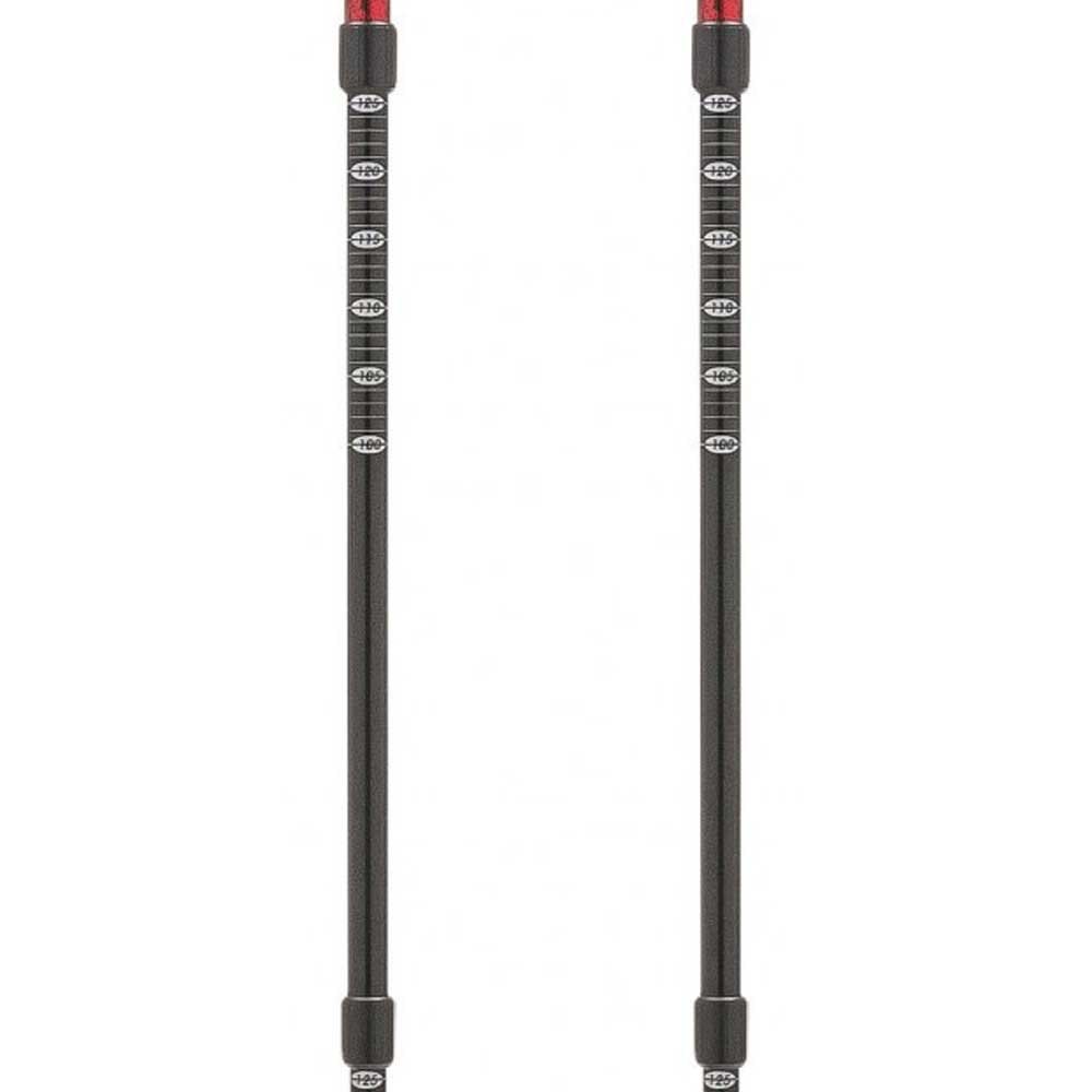 Купить Ferrino 78119IRR Stick GTA Поляки Красный  Red 60-135 cm 7ft.ru в интернет магазине Семь Футов