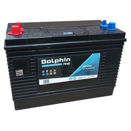 Купить Dolphin charger SBE230205 Dolphin First 110A батарея Черный  Black 7ft.ru в интернет магазине Семь Футов