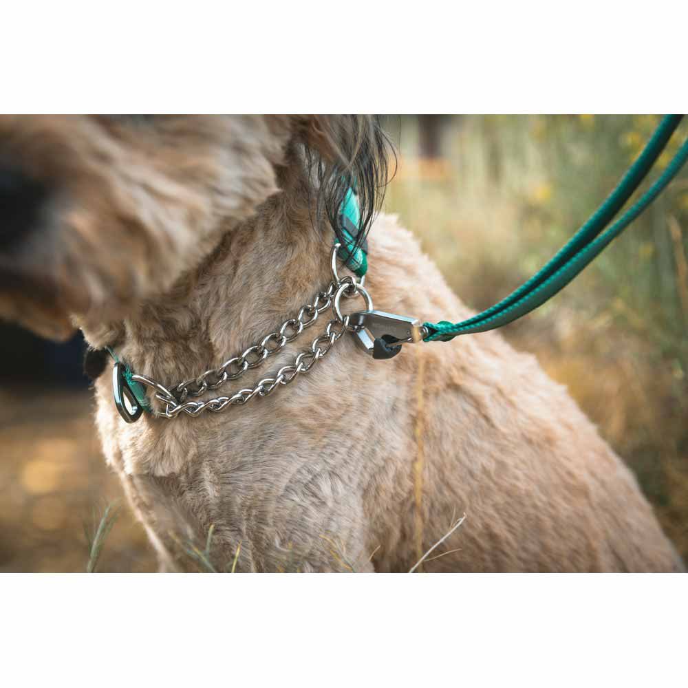 Купить Ruffwear 25703-3552026 Chain Reaction™ Воротник  River Rock Green 51-66 cm 7ft.ru в интернет магазине Семь Футов