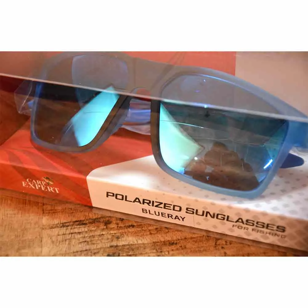 Купить Carp expert 74101-504 Солнцезащитные очки Blueray 25x20x10 7ft.ru в интернет магазине Семь Футов